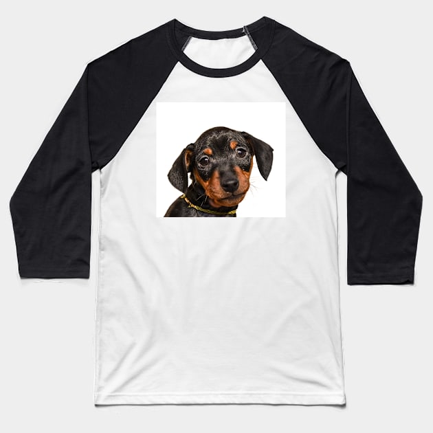 Portrait of black puppy Baseball T-Shirt by lena-maximova